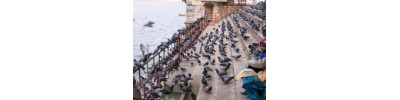 5. விஸ்வநாதம்